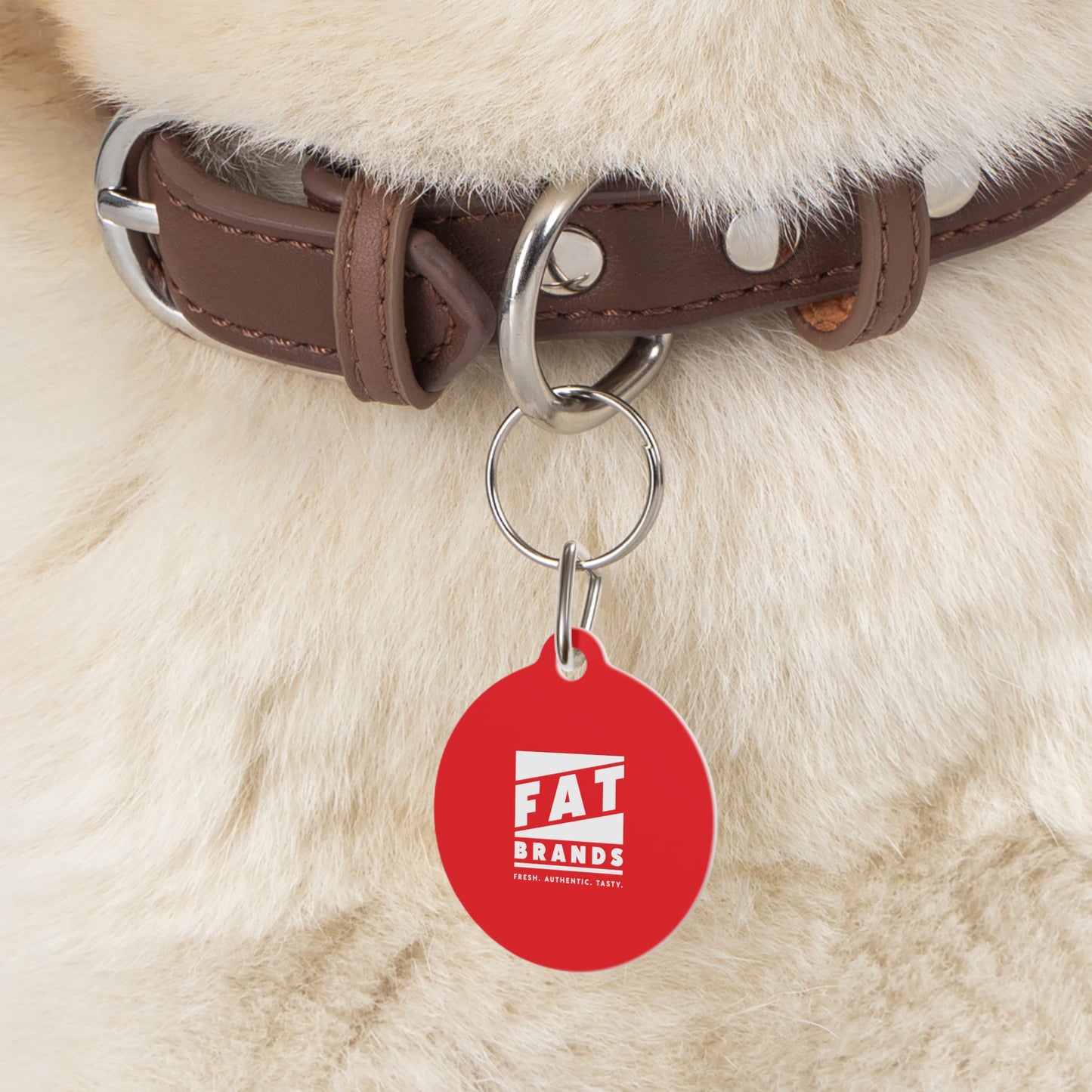 Pet Tag